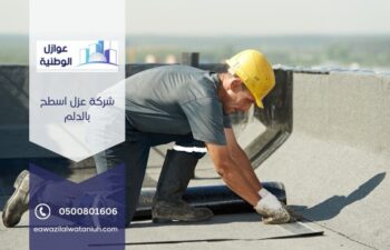 شركة عزل اسطح بالدلم